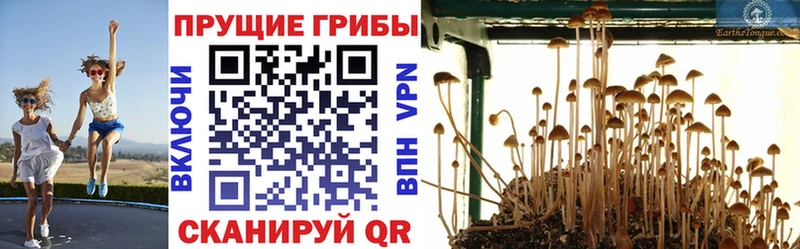 Галлюциногенные грибы ЛСД  Белый 